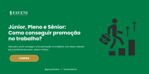 Júnior, Pleno e Sênior Como conseguir promoção no trabalho